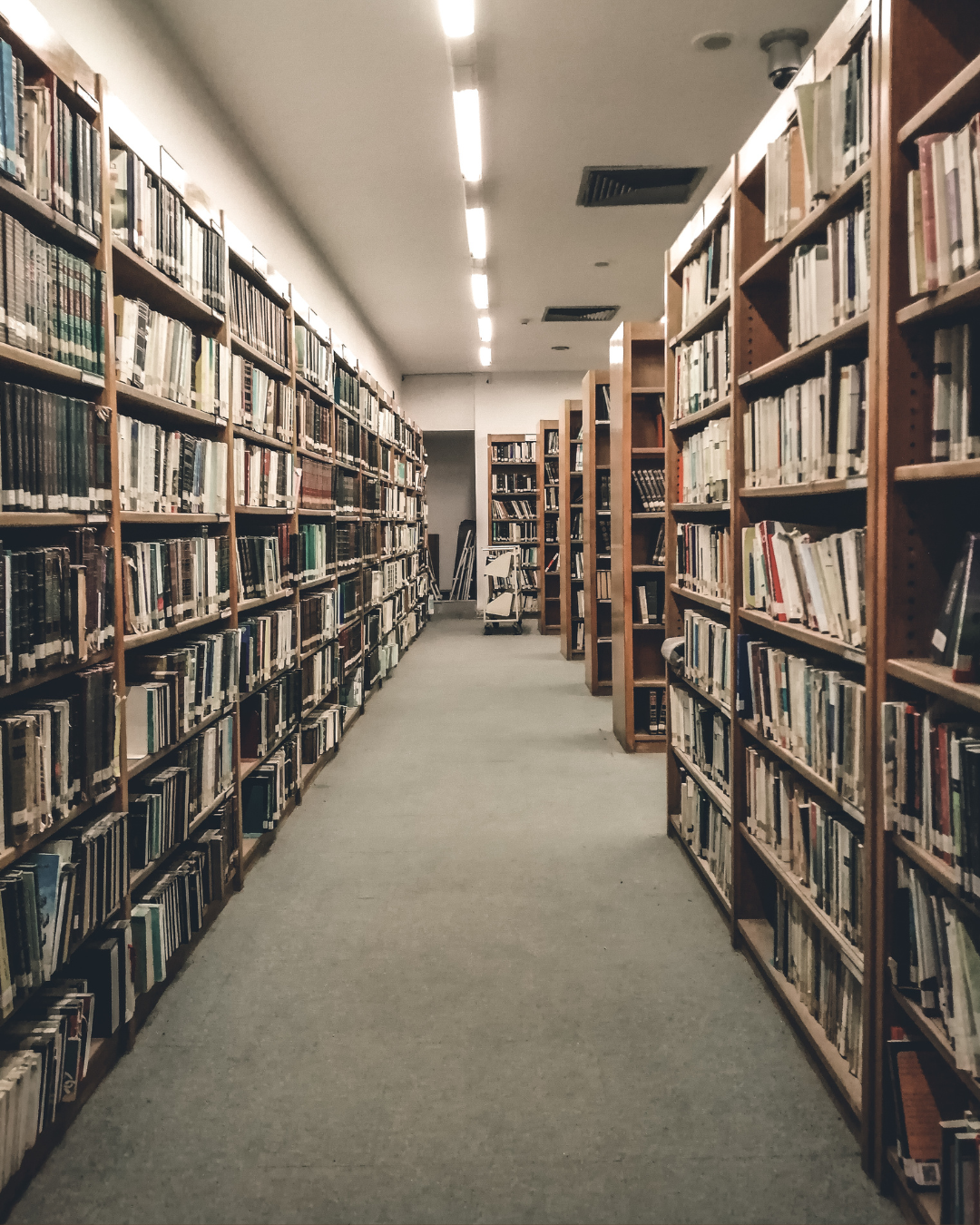 Book Trek | Solo Date | Chennai